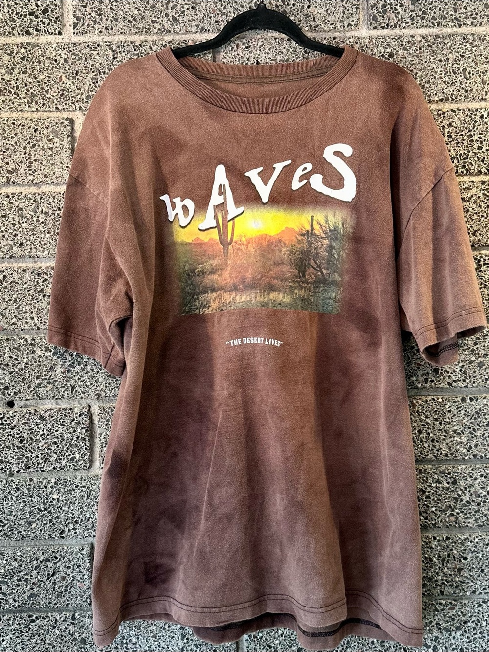Acid Wash Cactus Waves Desert Graphic Tee in Brown